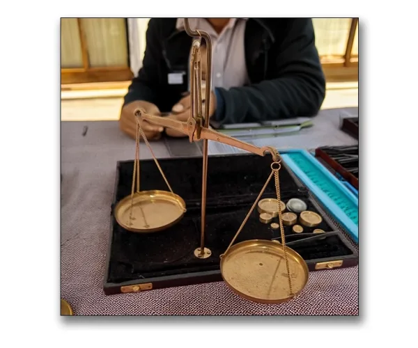 syllektiki-zygaria-chrysochou-1950_pic-8a